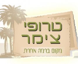 צימר טרופי - מקום ברמה אחרת